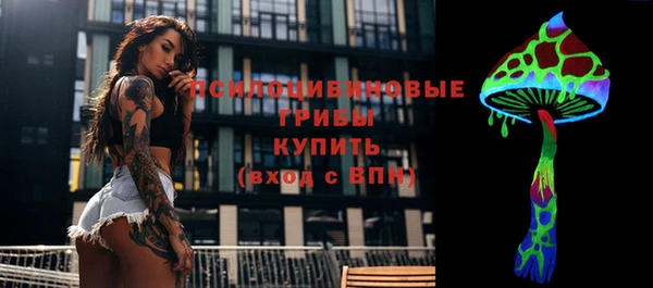 крисы Гусь-Хрустальный
