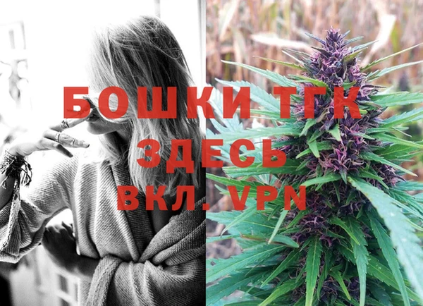 прущая мука Гусев